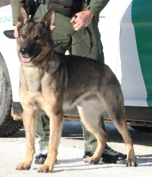 A Swanton Sector K9 asset assists in locating two subjects in Vermont.