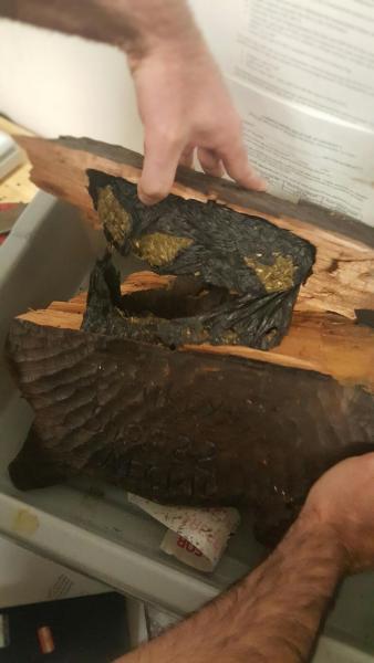 CBP officers find marijuana concealed in the shell of a wooden turtle at Boston Logan International Airport.