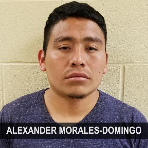 Morales-Domingo, a convicted sex offender was apprehended by U.S. Border Patrol agents near Sasabe, Arizona February 6. 