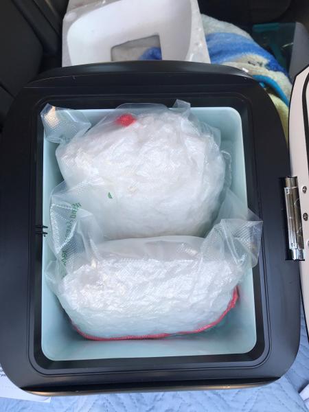 Border Patrol agents arrested a woman Wednesday who had packages of methamphetamine inside a mini fridge within her car.