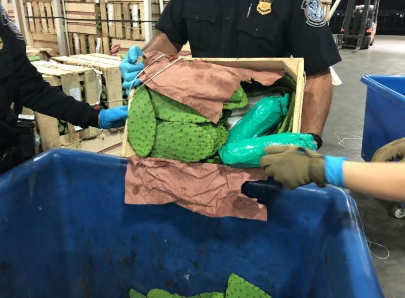U.S. Customs and Border Protection officers at the Otay Mesa commercial facility discovered more than 1,464 pounds of methamphetamine hidden within a shipment of cactus on Tuesday.  