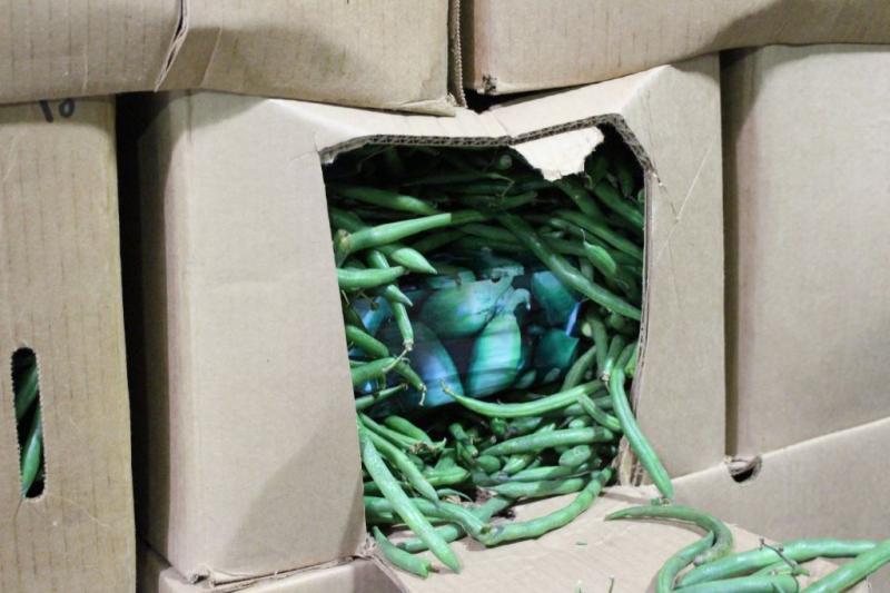 On Oct. 25, CBP officers at the Otay Mesa port of entry found marijuana bundles hidden in a shipment of jalapeno peppers