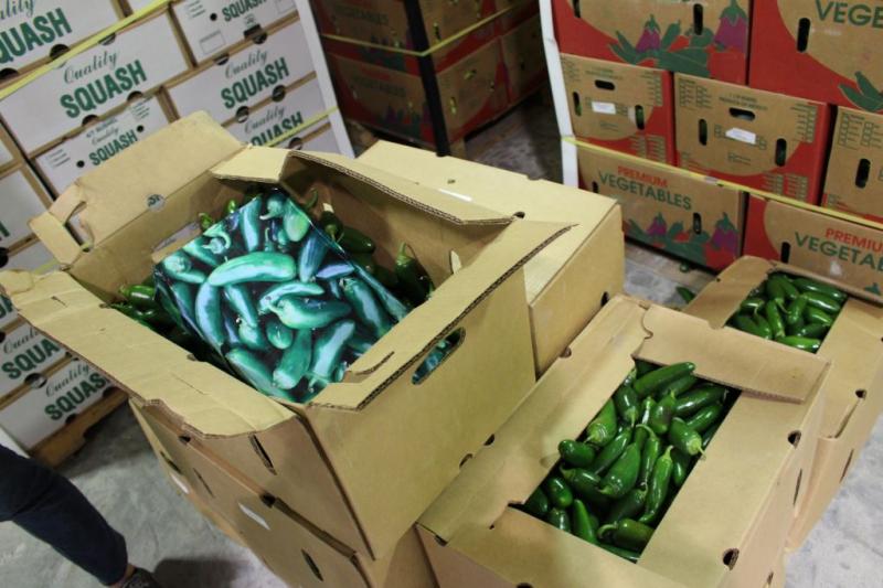 CBP officers discovered 527 pounds of marijuana wrapped in paper with photos of jalapenos, hidden in a shipment of actual jalapenos.