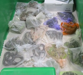 U.S. Customs and Border Protection officers at the San Ysidro port of entry thwarted a significant smuggling attempt after discovering 52 reptiles, tied up in small bags and hidden in and under a man’s clothing as he tried to cross the border into the U.S.