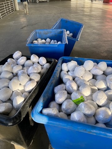 CBP officers extracted approximately 1,336 pounds of methamphetamine worth an estimated street value of about $2.9 million.