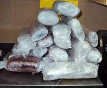 Agents pulled packages of drugs from seat backs.