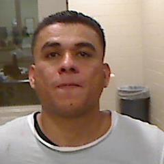 Agents apprehend Rosales, a wanted person. 