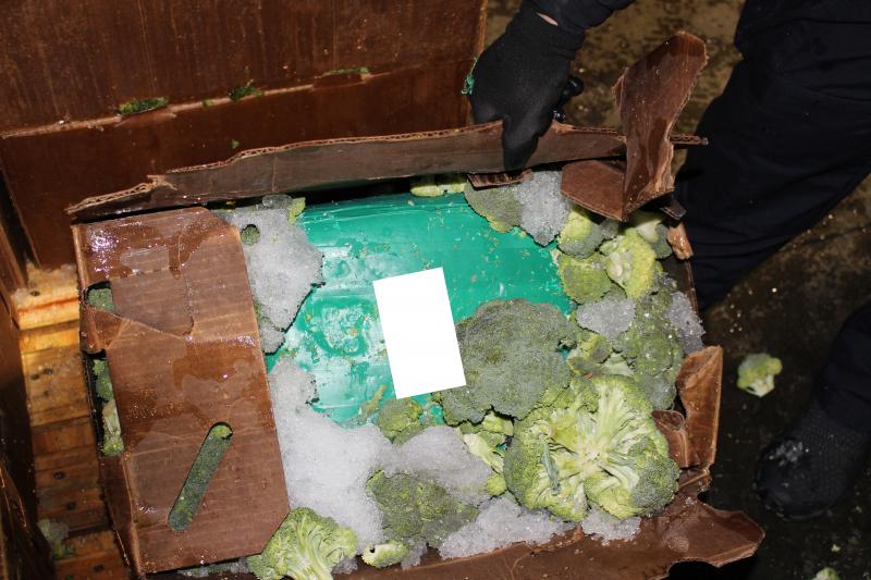 CBP Officers discover more than 3,000 lbs of marijuana comingled with broccoli.