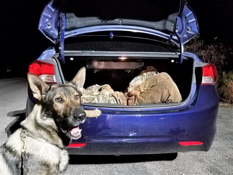 A canine alerted agents at the SR80 immigration checkpoint of two Mexican nationals who were in the trunk of a vehicle being inspected