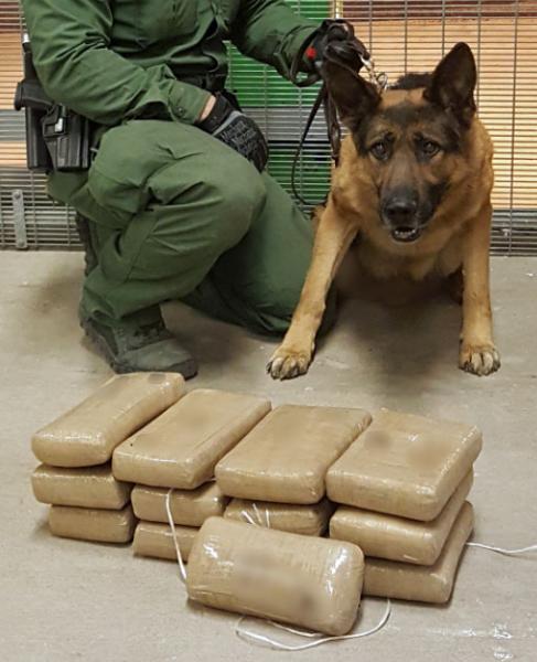 A Border Patrol canine team alerted agents to the discovery of 34 pounds of cocaine inside of a smuggling vehicle