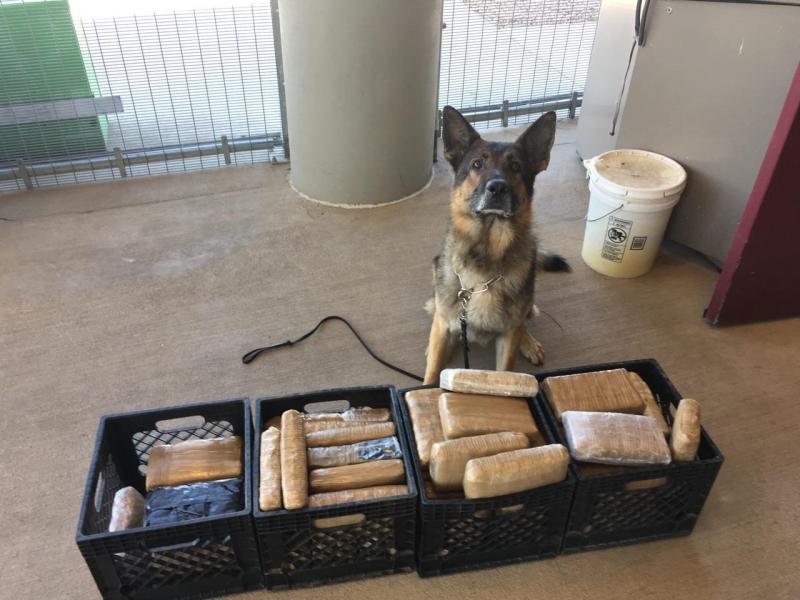 A Border Patrol canine alerted agents to the floorboard of a smuggling vehicle