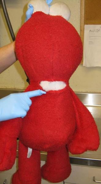 CBP Agriculture specialists locate two live parrots within the inside of a stuffed animal
