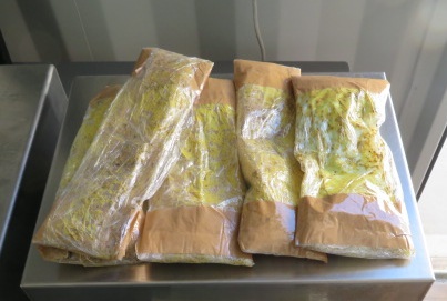 CBP officers seized five packages of fentanyl pills from a pedestrian crosser at the Port of Nogales.