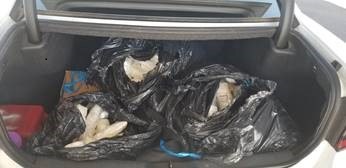 Yuma Sector agents discovered 135 pounds of meth inside of the trunk of a smuggling vehicle