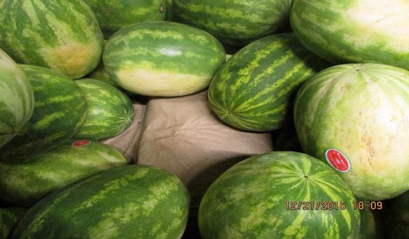 Officers discovered bundles of marijuana within bins of watermelons
