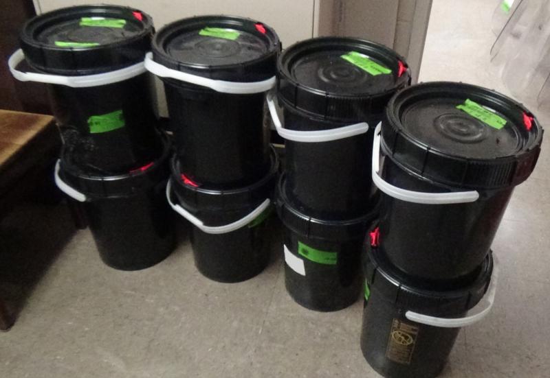 Buckets containing 137.57 pounds of methamphetamine seized by CBP officers at Brownsville Port of Entry