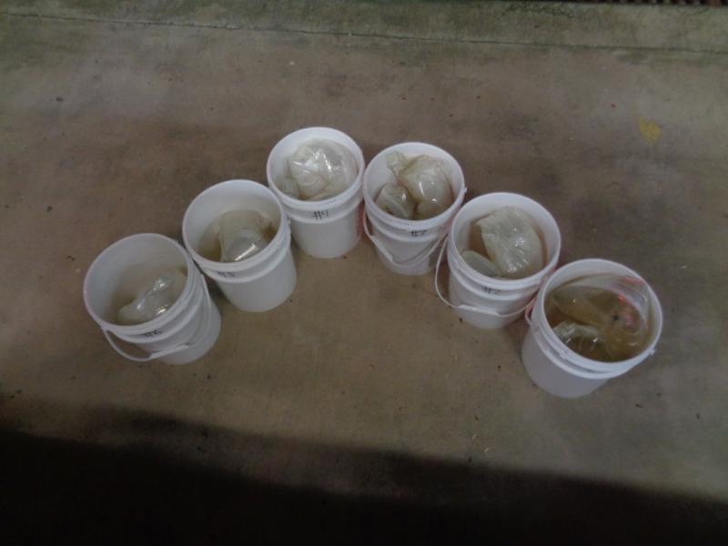 Buckets containing 119 pounds of liquid methamphetamine seized by CBP officers at Anzalduas International Bridge.