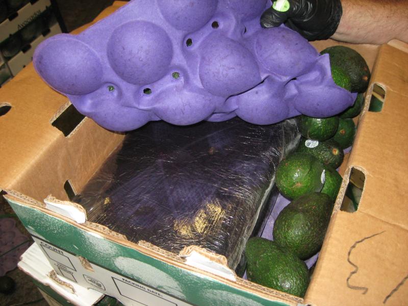 CBP officers discover marijuana bundles hidden within a commercial shipment of avocados at Pharr International Bridge