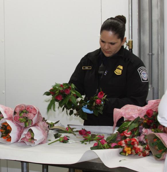 Especialistas de agricultura de CBP revisan un cargamento comercial de arreglos florales en el Puerto de Entrada de Laredo