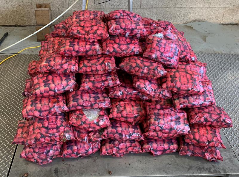Bags with picture of strawberries containing 411 pounds of methamphetamine seized by CBP officers at Pharr International Bridge