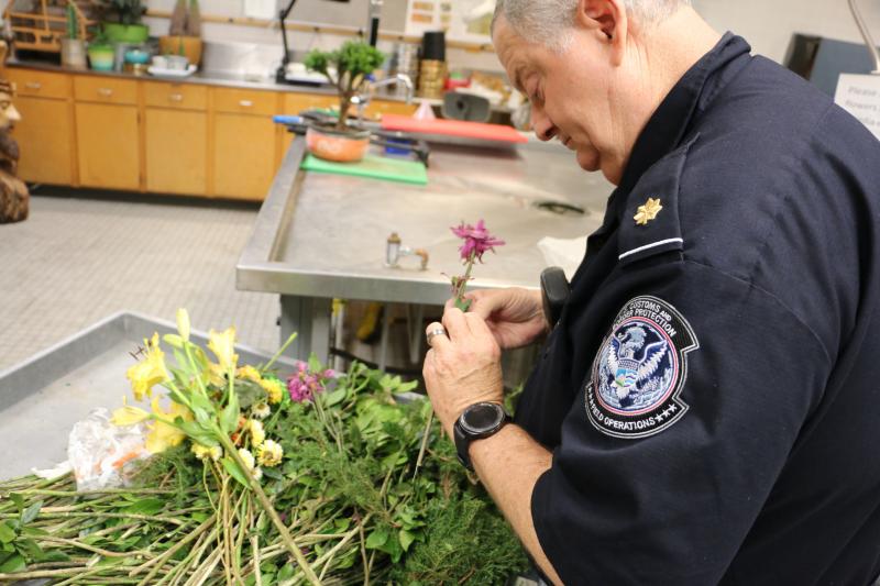 Agriculture Specialist checking flowers.