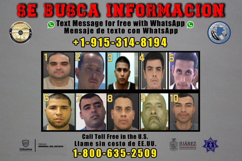 Se Busca campaign wanted subjects
