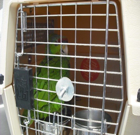 Parrot seized at Columbus port.