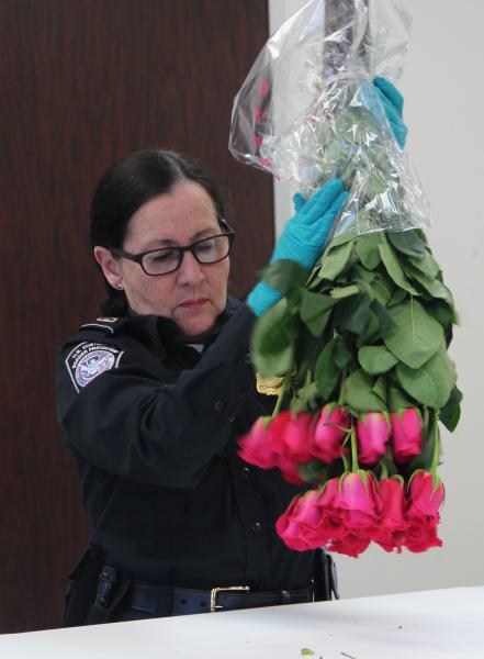 CBP agriculture specialists inspect cut flowers ahead of Valentine's Day.