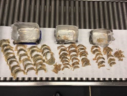 CBP seized these edible bird's nests