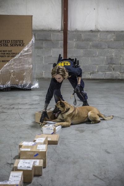 CBP K9 Donna alerts after finding a package filled with marijuana