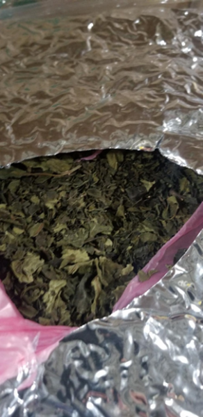 KHAT Seizure at Port of New York/Newark