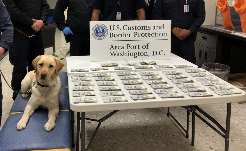 Customs and Border Protection officers seized $43,409 in unreported currency after K9 Cato alerted to the Belgium-bound man’s baggage at Washington Dulles International Airport on March 14, 2021.