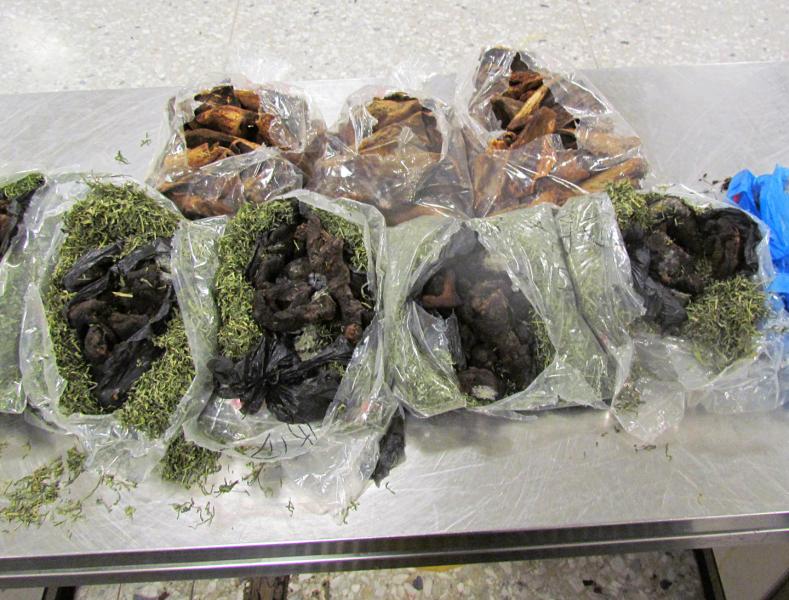 CBP seized about 18 pounds of dried beef and cow skins from a Cameroon traveler's baggage May 11, 2019.