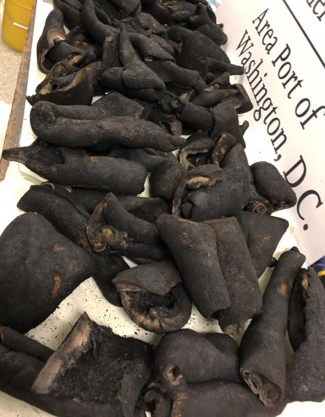 Customs and Border Protection agriculture specialists at Washington Dulles International Airport seized 110 pounds of prohibited cow skins and dried beef on September 7, 20201, as a potential animal disease threat to our nation’s cattle and livestock industries.