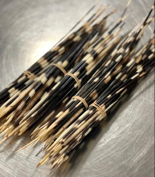 U.S. Customs and Border Protection discovered 100 porcupine quills in passenger baggage on April 21, 2021 at Washington Dulles International Airport. African porcupine quills are prohibited as potential vector for diseases, such as monkeypox virus.
