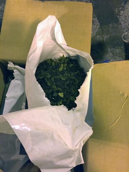 Philadelphia CBP officers intercepted 97 pounds of khat from Kenya on February 8, 2017.