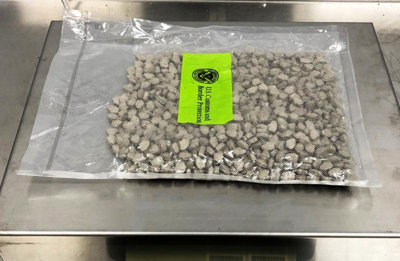 Customs and Border Protection officers in Philadelphia seized a shipment of ecstasy tablets September 25, 2020, that resulted in narcotics charges against a Florida man October 8, 2020.