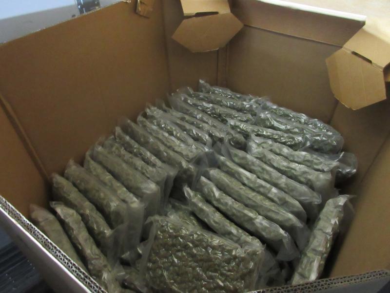 Vacuum-sealed packages of marijuana discovered at the Champlain, N.Y. Port of Entry.