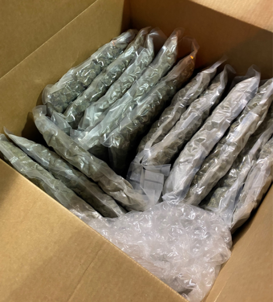 Marijuana discovered inside a commercial shipment at the Lewiston, N.Y. Port of Entry.