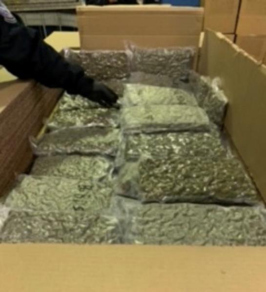 Marijuana seized at the Lewiston, N.Y. Cargo Facility.