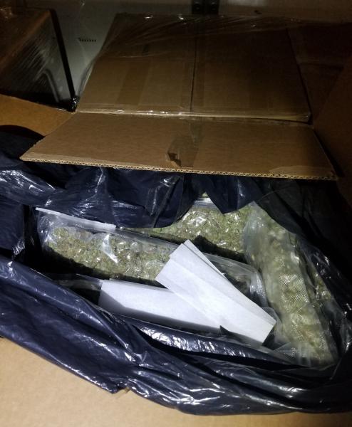 Vacuum-sealed marijuana discovered at the Buffalo, N.Y. Port of Entry.