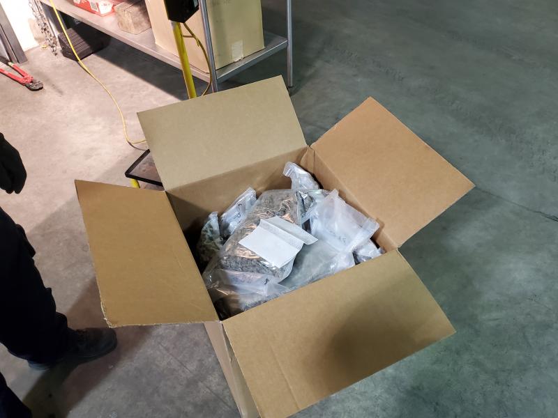 Vacuum-sealed packages of marijuana