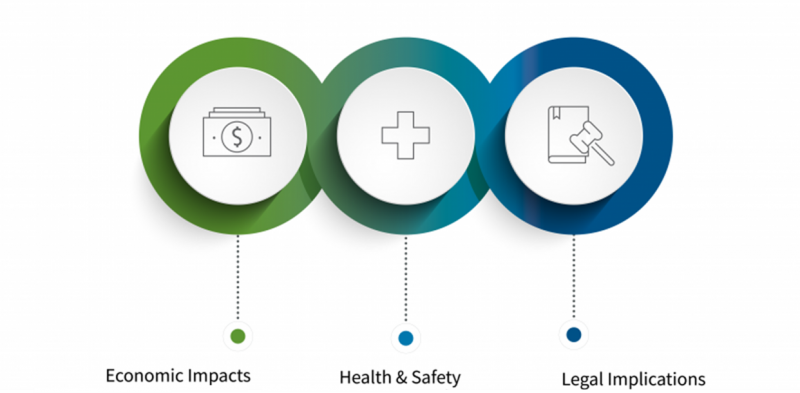 Image displaying IPR impacts - Economic Impacts, Health & Safety, and Legal Implications