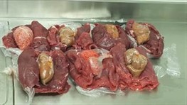 Pork in beef rolls seized in Orlando