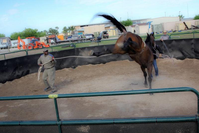 DPS Trooper during horse training in the Rio Grande Valley