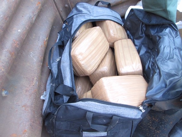 Some of the over $640K of marijuana seized by agents