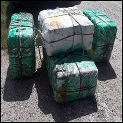 Agents seized over 300 pounds of marijuana near Progreso, Texas