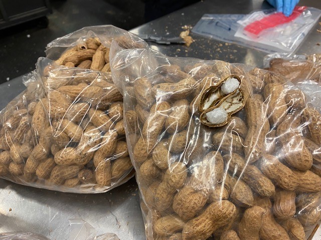 Contaminated Peanuts in clear bag