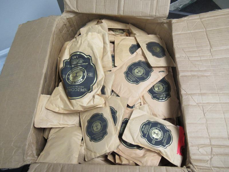dozens of DMT pouches in a cardboard box