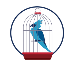 image of a bird in a cage to represent wildlife trafficking